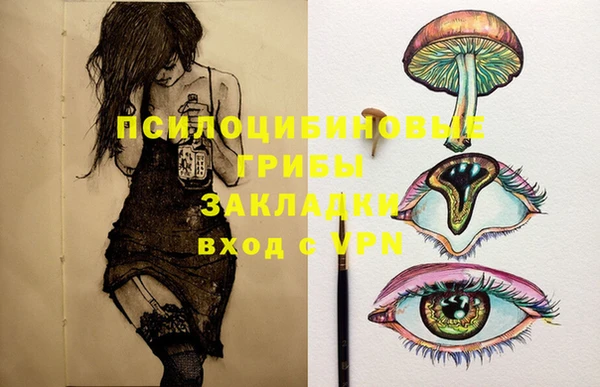 Альфа ПВП Абаза